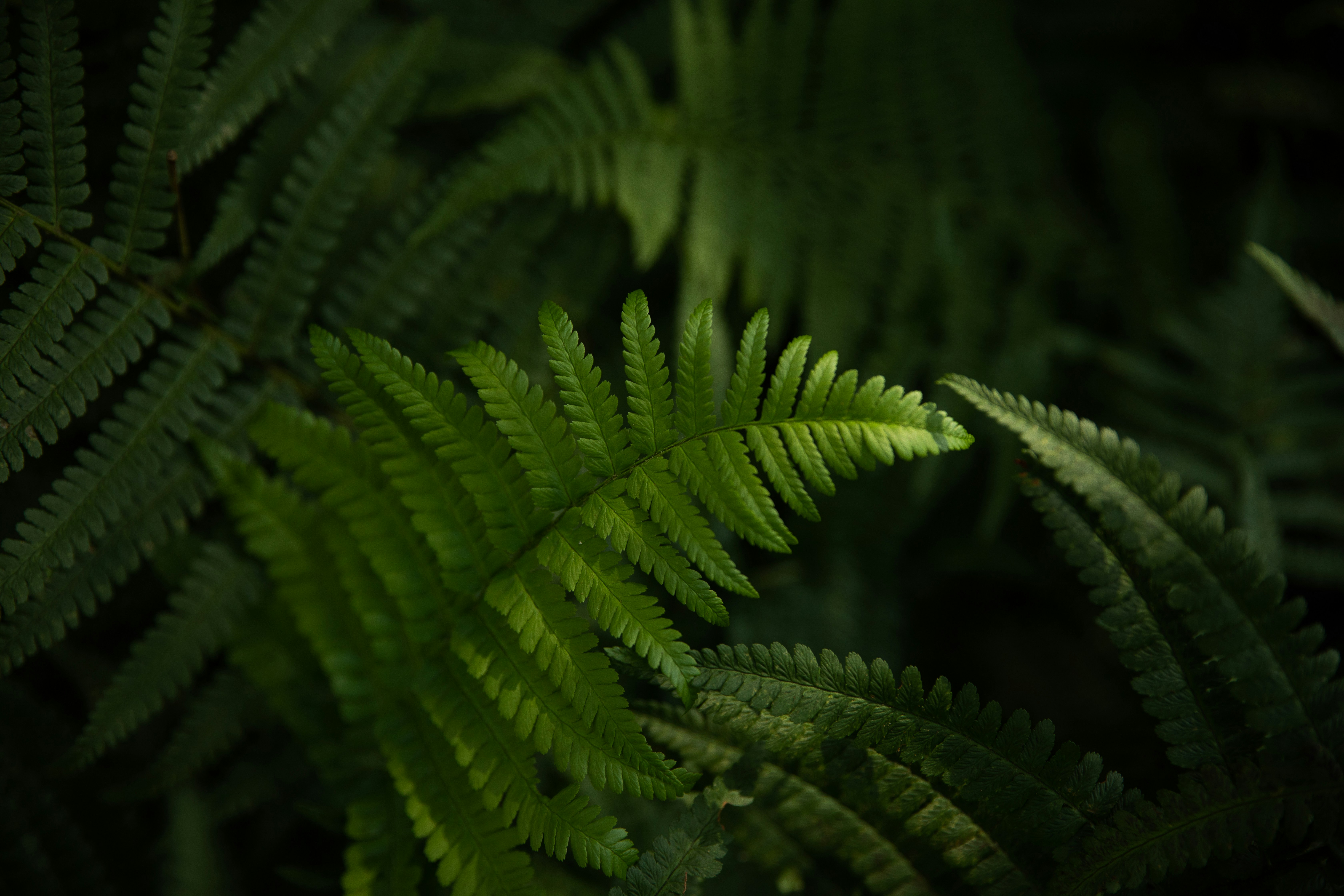 AI for Sustainability | Smart Carbon & ESG Analytics Platform – Horizon17