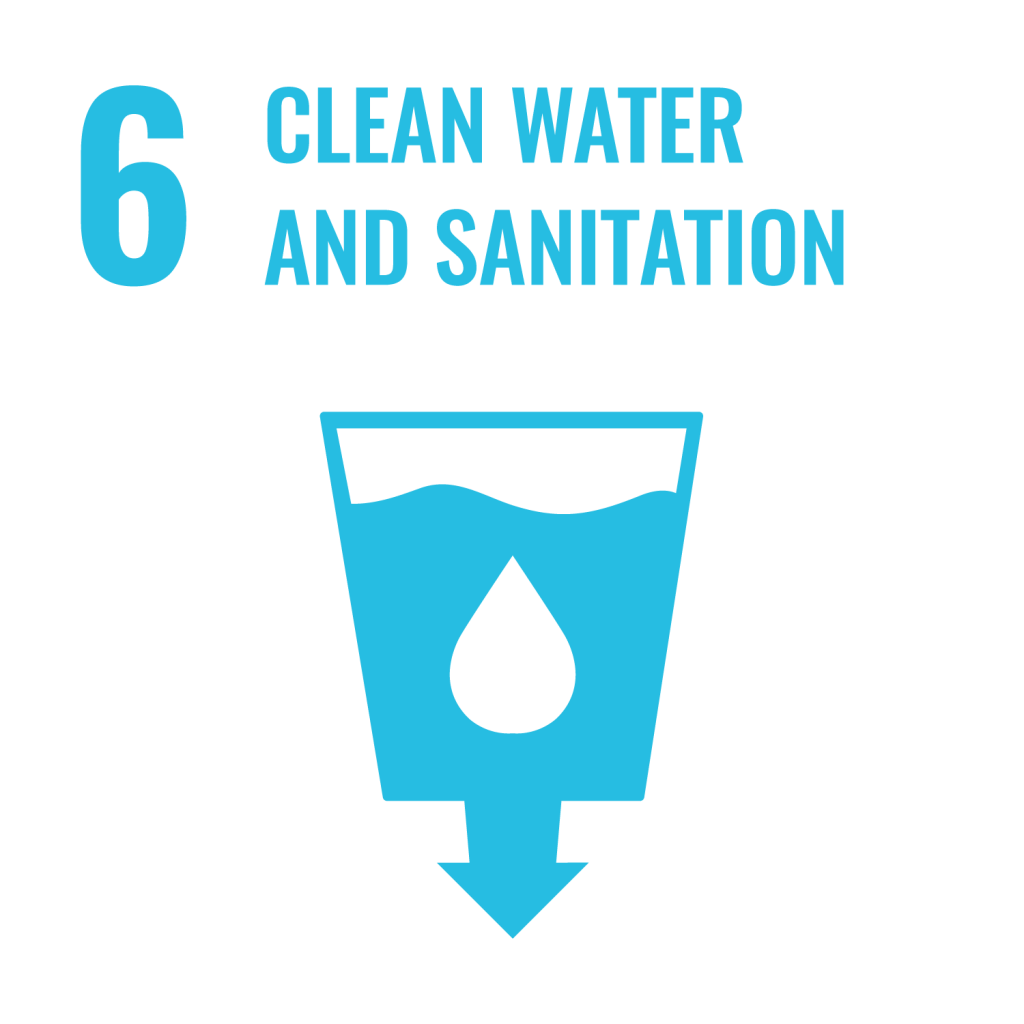 SDG Logo